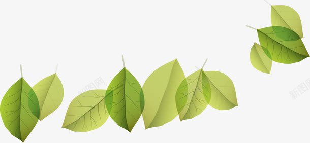 绿色树叶漂浮壁纸背景装饰png免抠素材_新图网 https://ixintu.com 壁纸 树叶 漂浮 绿色 背景 装饰