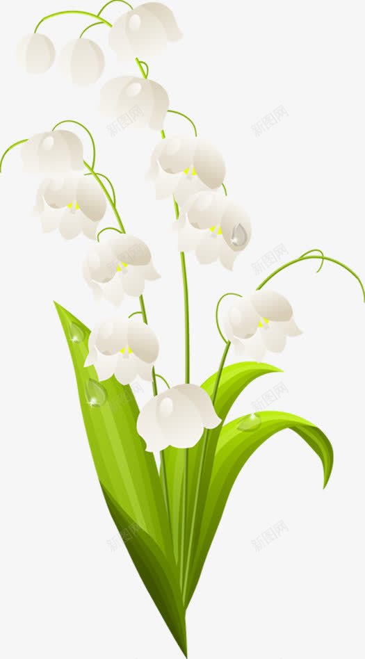 手绘白色清新小花植物png免抠素材_新图网 https://ixintu.com 植物 清新 白色