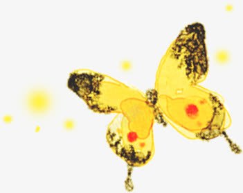 黄色明亮蝴蝶手绘png免抠素材_新图网 https://ixintu.com 明亮 蝴蝶 设计 黄色