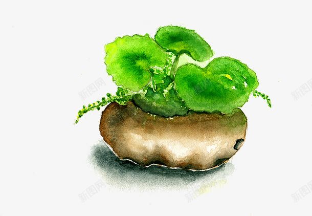 一盆绿植png免抠素材_新图网 https://ixintu.com 叶子 手绘 植物 绿色