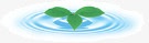水面的树叶png免抠素材_新图网 https://ixintu.com 树叶 水面 绿叶