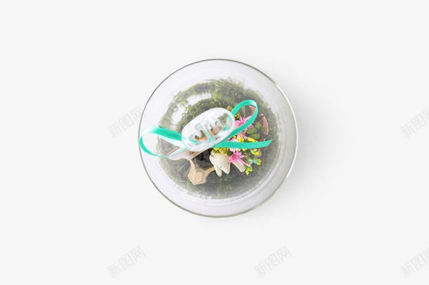 不凋花玻璃樽擺設png免抠素材_新图网 https://ixintu.com 玻璃樽