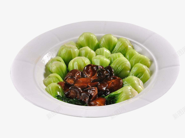 盘子里的食物蚝油生菜png免抠素材_新图网 https://ixintu.com 家常菜 盘子 盘子里的食物 美食 蚝油生菜 餐饮 饭店