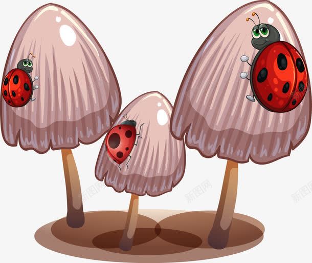 卡通七星瓢虫停在野菇png免抠素材_新图网 https://ixintu.com 七星瓢虫