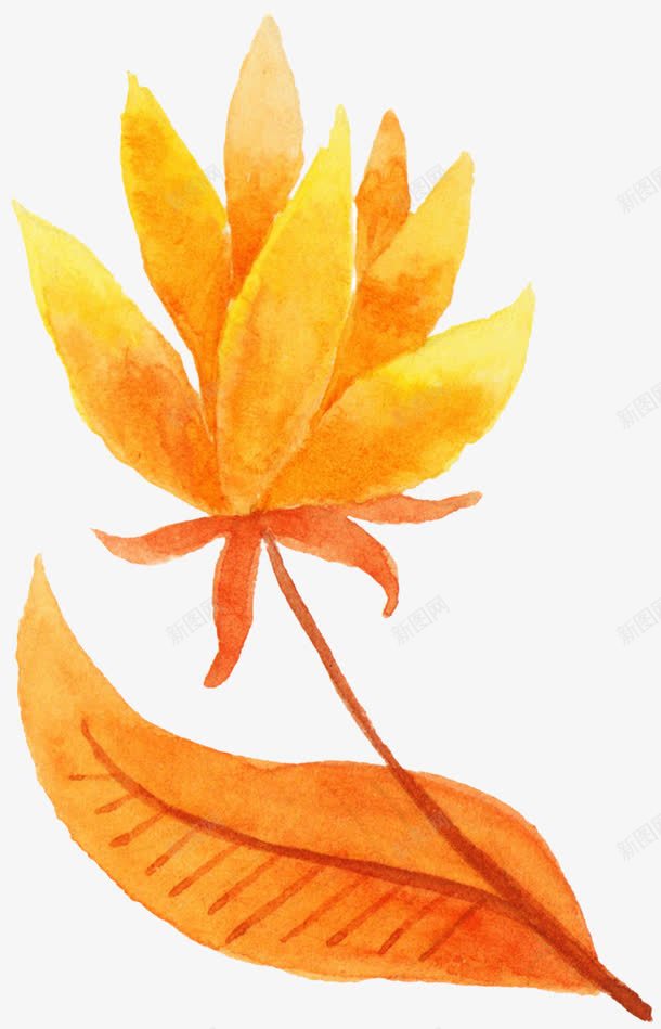 脉络清晰金色花朵png免抠素材_新图网 https://ixintu.com 水彩 脉络图 花 花朵 金色