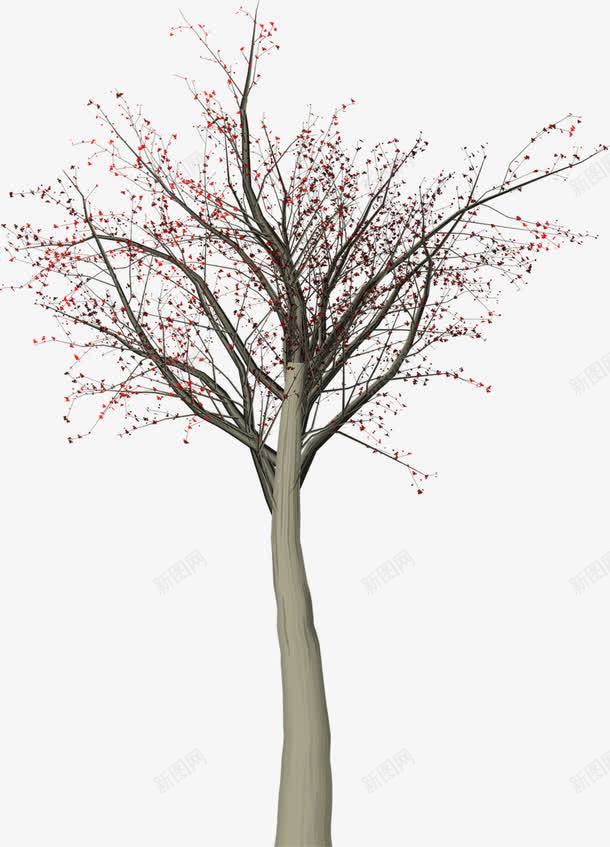 没有树叶的树png免抠素材_新图网 https://ixintu.com 树叶 植物 花
