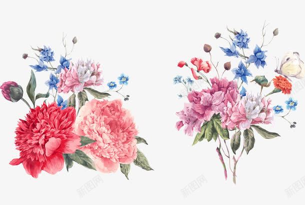 精美手绘花朵植物png免抠素材_新图网 https://ixintu.com 园艺 手绘水彩花卉 手绘花卉 植物 水彩 水彩花卉 花 花卉 花朵 装饰图案 设计