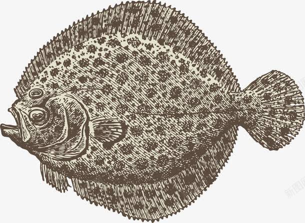 海洋动物手素描png免抠素材_新图网 https://ixintu.com 平面设计 手绘 插画 海洋动物 素描 鱼