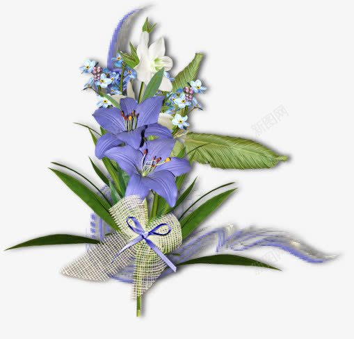 紫色牵牛花png免抠素材_新图网 https://ixintu.com 免抠 牵牛花 紫色