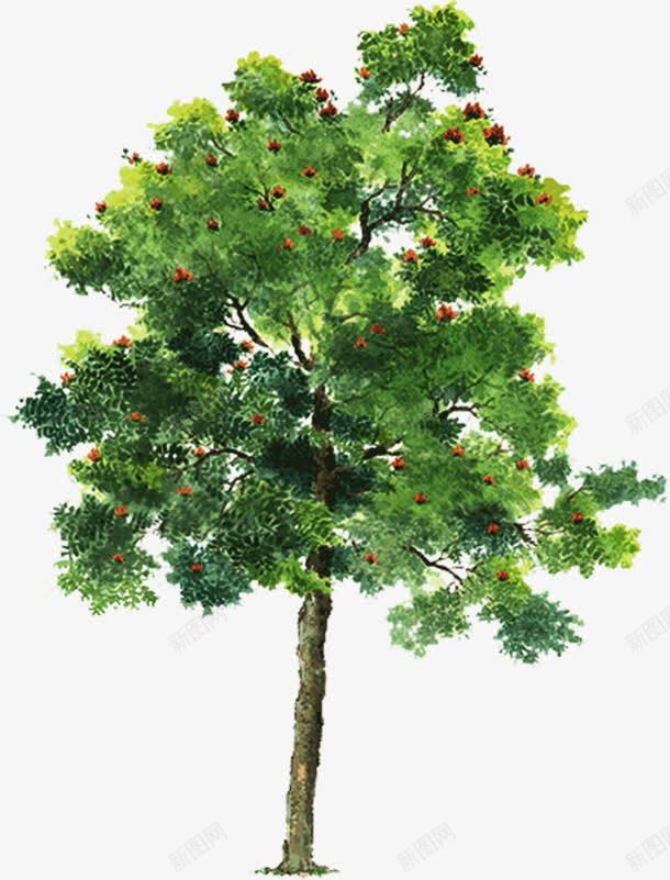 绿色草本树木png免抠素材_新图网 https://ixintu.com 树木 绿色 草本