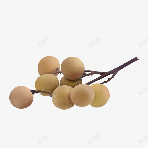 美味的水果龙眼水果元素png免抠素材_新图网 https://ixintu.com 免扣 果子 水果 美味