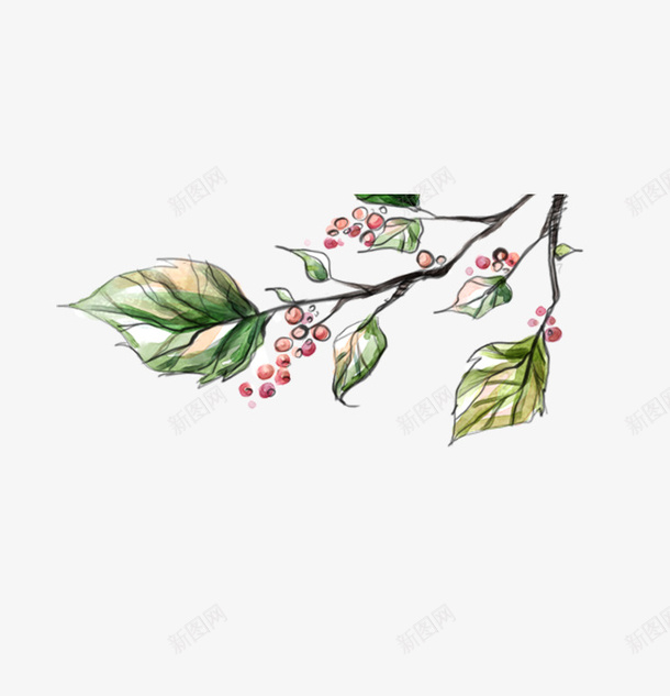 素描树叶png免抠素材_新图网 https://ixintu.com 树叶 植物 绿色