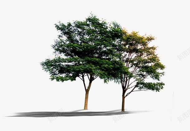 绿色植被psd免抠素材_新图网 https://ixintu.com 婀栬竟 鍏 鎶曞奖 骞垮満