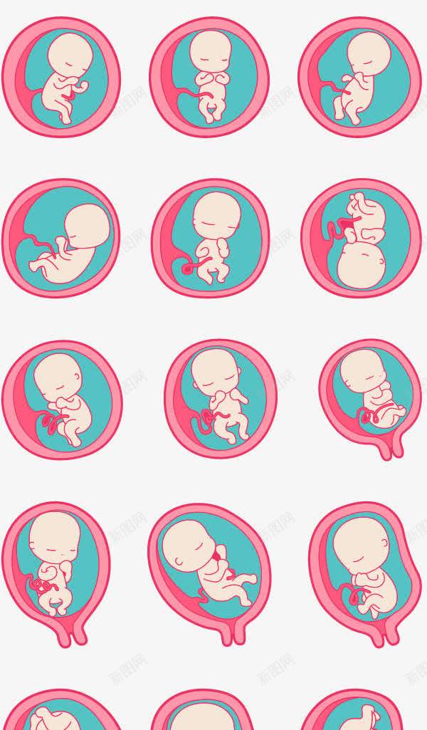 粉色女性图标png_新图网 https://ixintu.com 图标 女性器官 粉色