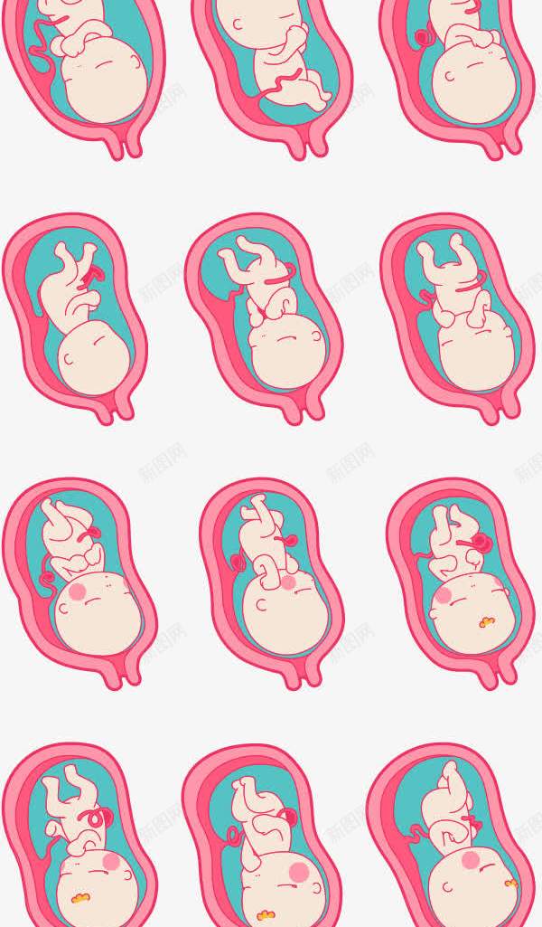 粉色女性图标png_新图网 https://ixintu.com 图标 女性器官 粉色