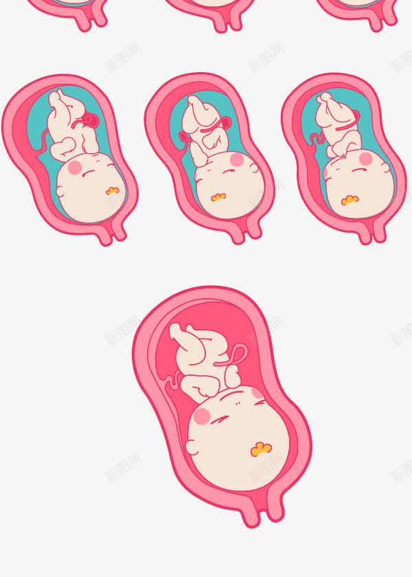粉色女性图标png_新图网 https://ixintu.com 图标 女性器官 粉色