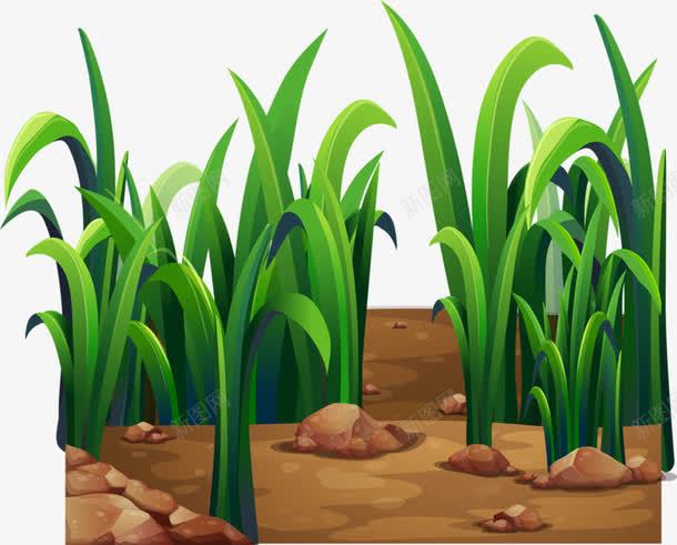 绿地植物png免抠素材_新图网 https://ixintu.com 土地 植物 泥土 绿草