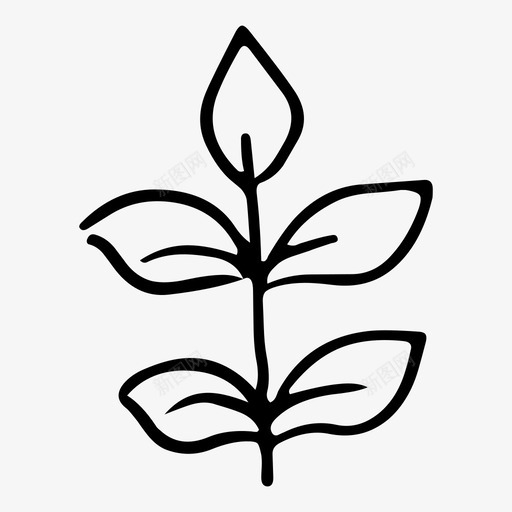 月桂叶树枝大自然图标svg_新图网 https://ixintu.com 大自然 月桂叶 树枝 橄榄 美丽的叶子涂鸦