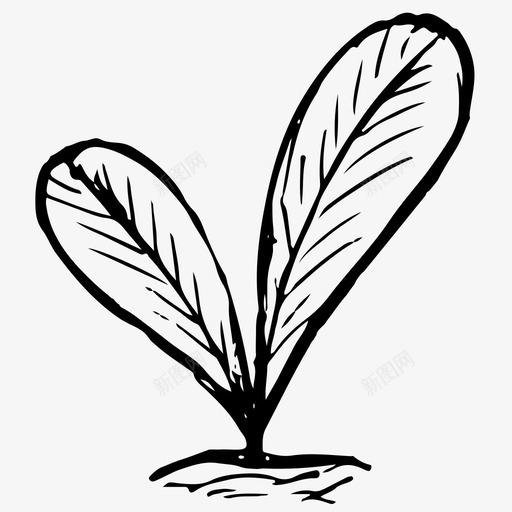 植物自然素描图标svg_新图网 https://ixintu.com 手绘 植物 素描 自然 萌芽
