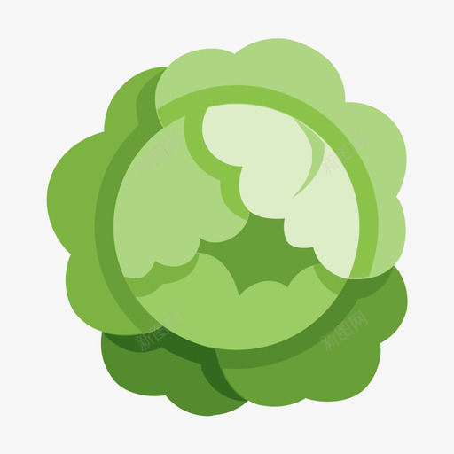 Cabbagesvg_新图网 https://ixintu.com Cabbage 填充 多色