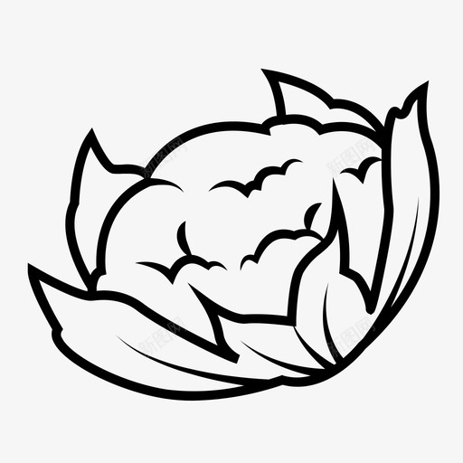 花椰菜芸苔属卷心菜图标svg_新图网 https://ixintu.com 十字花科蔬菜 卷心菜 花椰菜 芸苔属
