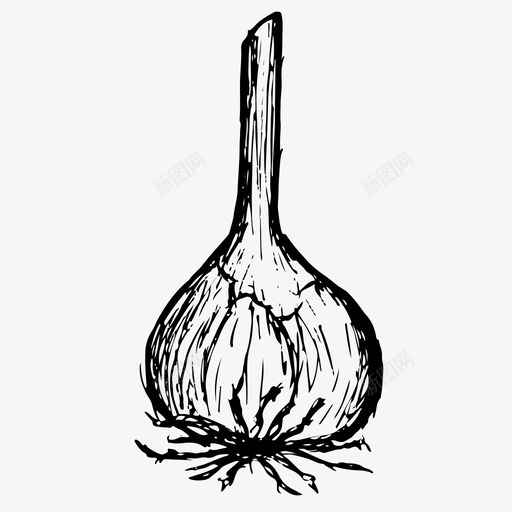 大蒜食物素描图标svg_新图网 https://ixintu.com 大蒜 素描 蔬菜 食物