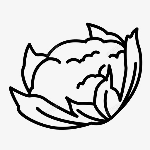 花椰菜芸苔属卷心菜图标svg_新图网 https://ixintu.com 十字花科蔬菜 卷心菜 花椰菜 芸苔属