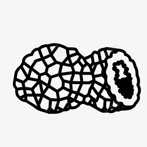 松露黑松露木耳图标svg_新图网 https://ixintu.com 木耳 松露 白松露 蘑菇 黑松露
