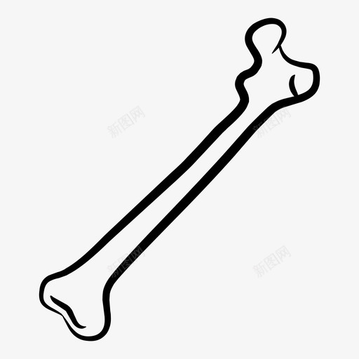 骨骼器官人体器官图标svg_新图网 https://ixintu.com 人体器官 器官 骨骼