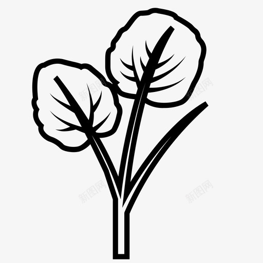 豆瓣菜水生植物叶菜图标svg_新图网 https://ixintu.com 叶菜 水生植物 豆瓣菜