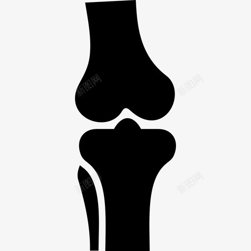 人体骨骼生物学图标svg_新图网 https://ixintu.com 人体骨骼 生物学