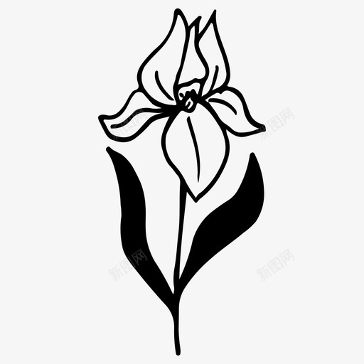 鸢尾花花自然图标svg_新图网 https://ixintu.com 手绘 春天 植物 自然 花 鸢尾花