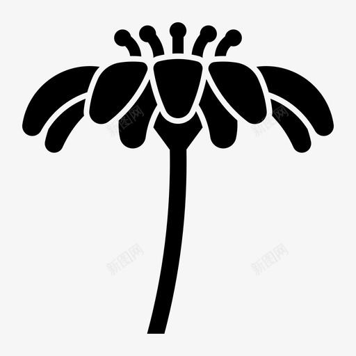 雏菊花朵纯真图标svg_新图网 https://ixintu.com 植物 纯真 花朵 雏菊