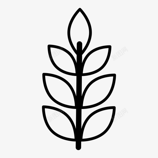 小麦谷类食品植物图标svg_新图网 https://ixintu.com 小麦 植物 谷类食品