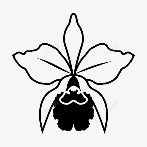 兰花香蒲兰科图标svg_新图网 https://ixintu.com 兰科 兰花 植物 香蒲