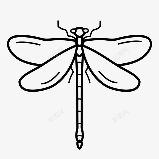 蜻蜓虫子翅膀图标svg_新图网 https://ixintu.com 翅膀 虫子 蜻蜓