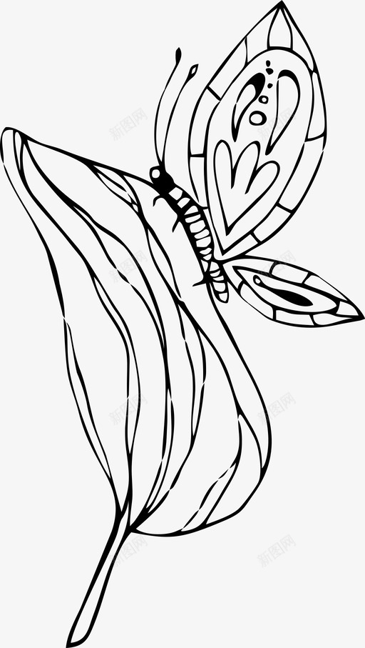 叶子蝴蝶花图标svg_新图网 https://ixintu.com 叶子 花 蝴蝶
