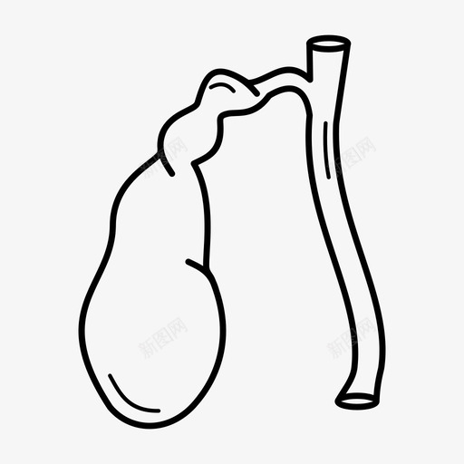 胆囊解剖学人体器官图标svg_新图网 https://ixintu.com 人体器官 内脏 胆囊 解剖学