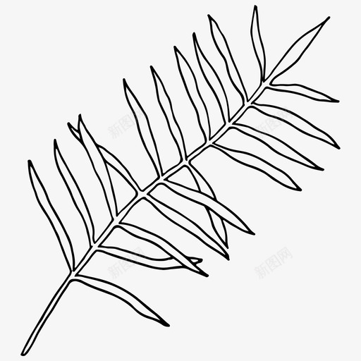 热带叶自然植物图标svg_新图网 https://ixintu.com 手工绘制 植物 热带叶 自然