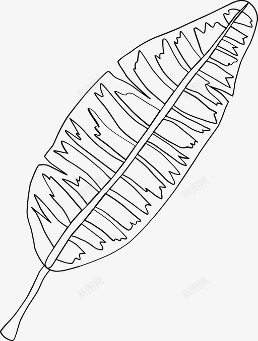 植物树枝绿叶图标svg_新图网 https://ixintu.com 树枝 植物 热带植物 绿叶 自然
