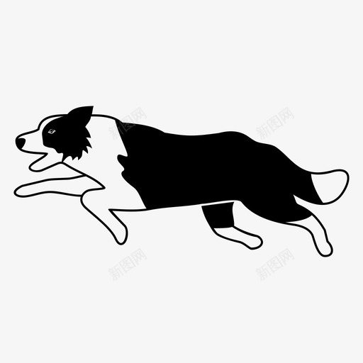 边境牧羊犬动物狗图标svg_新图网 https://ixintu.com 动物 动物群 宠物 狗 猎犬 边境牧羊犬