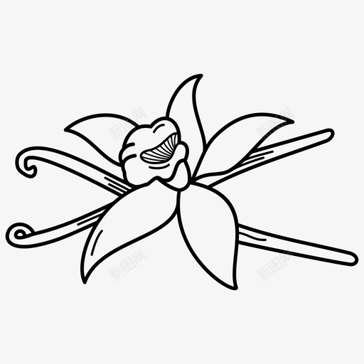 香草荚香草花图标svg_新图网 https://ixintu.com 香草花 香草荚