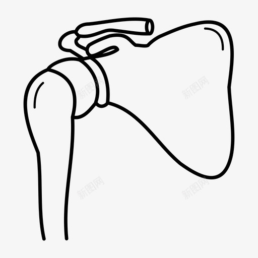 肩关节人体解剖学图标svg_新图网 https://ixintu.com 人体解剖学 肩关节