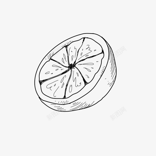 手绘橘子美味水果图标svg_新图网 https://ixintu.com 手绘 手绘橘子 手绘美味水果 水果 美味