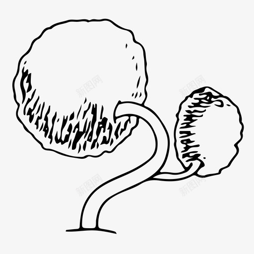 树灌木树叶图标svg_新图网 https://ixintu.com 树 树叶 树木 植物 灌木 自然