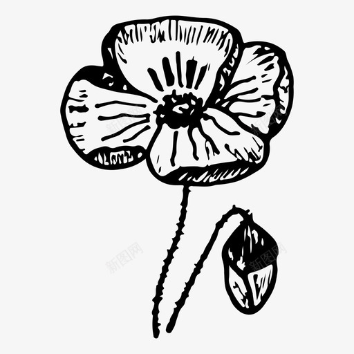罂粟花手绘图标svg_新图网 https://ixintu.com 手绘 植物 罂粟 自然 花