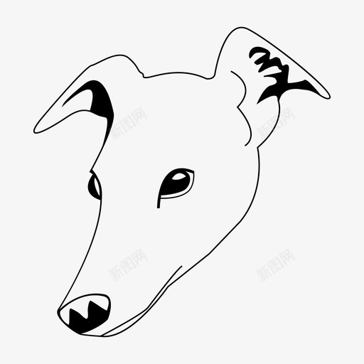 狗解剖学灰狗图标svg_新图网 https://ixintu.com 学习 形状 灰狗 狗 解剖学