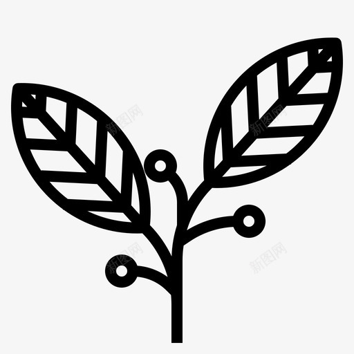 月桂叶食物药草图标svg_新图网 https://ixintu.com 月桂叶 药草 蔬菜 食物
