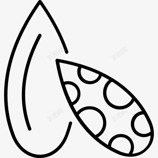 豆蔻食物膳食图标svg_新图网 https://ixintu.com 膳食 豆蔻 食物 香料