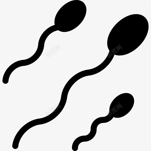 人类精子医学解剖学图标svg_新图网 https://ixintu.com 人类精子 医学 解剖学
